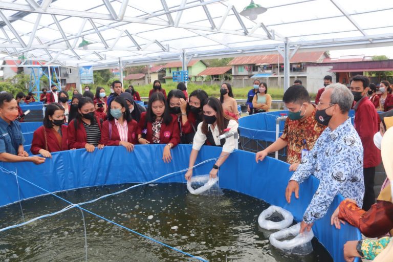 Yessy Resmi Memberikan Bantuan Bibit Ikan Lele Di STKIP Melawi TA 2021