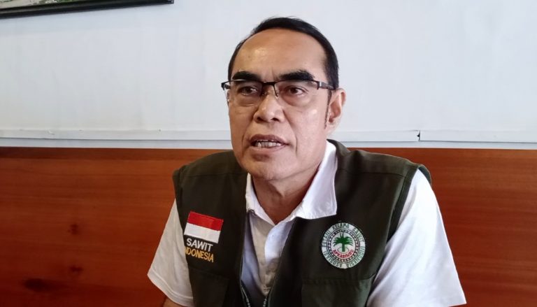 Jokowi Resmi Buka Kembali Ekspor CPO, Asosiasi Petani Sawit Melawi Ucapkan Terima Kasih