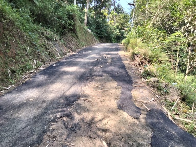 Ruas Jalan Banyak Rusak, Korbankan Warga