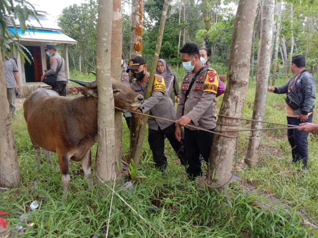 Penanganan