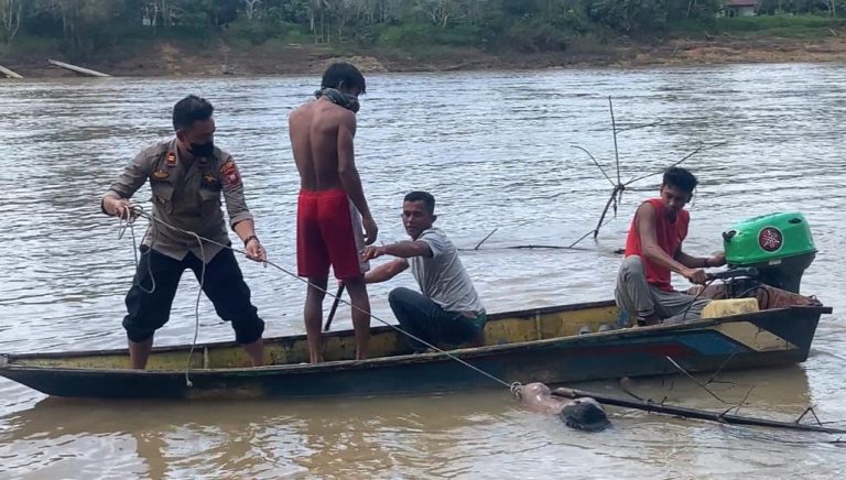 Mayat Tanpa Identitas Ditemukan Warga Terapung Di Sungai Melawi