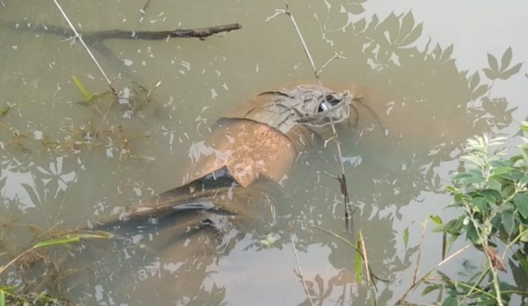 Cibinong Digegerkan Dengan Temuan Sesosok Mayat