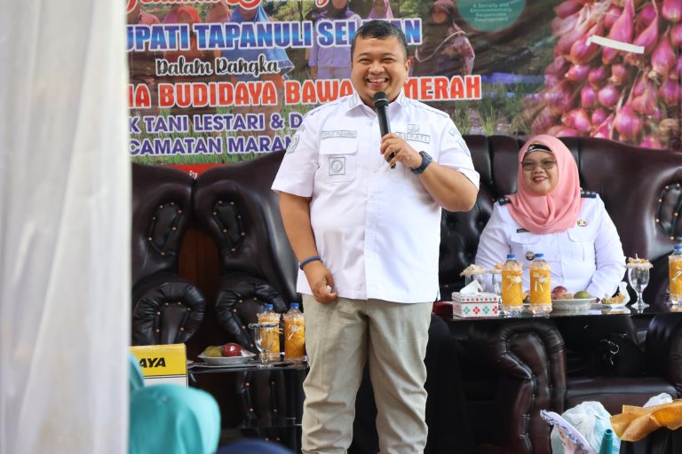 Bupati dan Ketua TP PKK Tapsel Lakukan Panen Perdana Bawang Merah Bersama Koptan Desa Simaninggir.