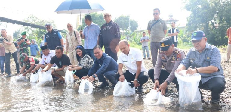 Bupati Tapsel Bersama Masyarakat Muara Purba Nauli dan Sori Manaon Lakukan Tebar Benih Ikan Nila.