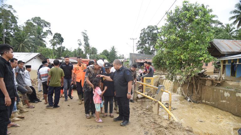 Dolly Tinjau Wilayah Yang Terdampak Banjir Bandang di Tapsel