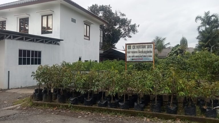 Usaha Benih Hortikultura H.Udin