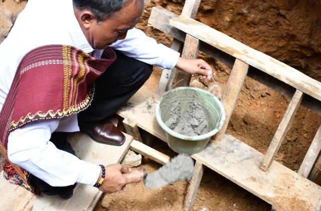 Wakil Bupati Samosir