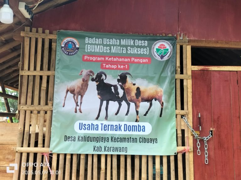 Terkait BUMDES Kades Kalidungjaya Dan Ketua BUMDES Diduga Ada kongkalikong.