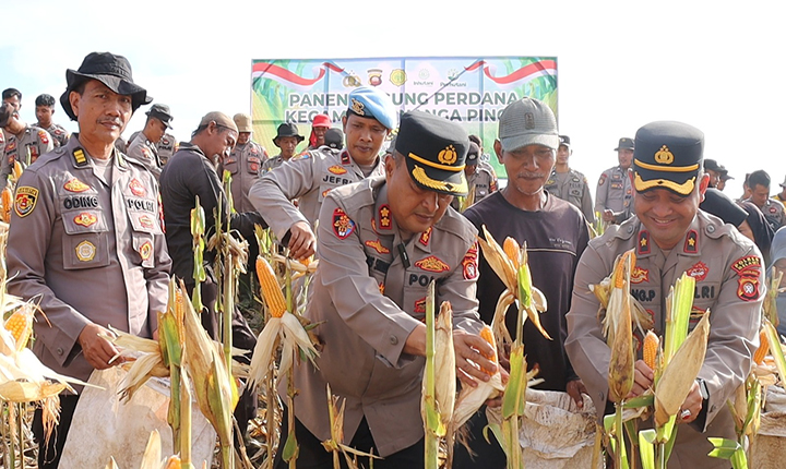 Kapolres Melawi Pimpin Panen Jagung Perdana