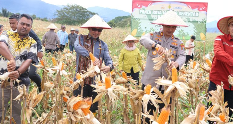 Pemerintah Terus Memperkuat Ketahanan Pangan Nasional Melalui Sinergi Lintas Sektor.