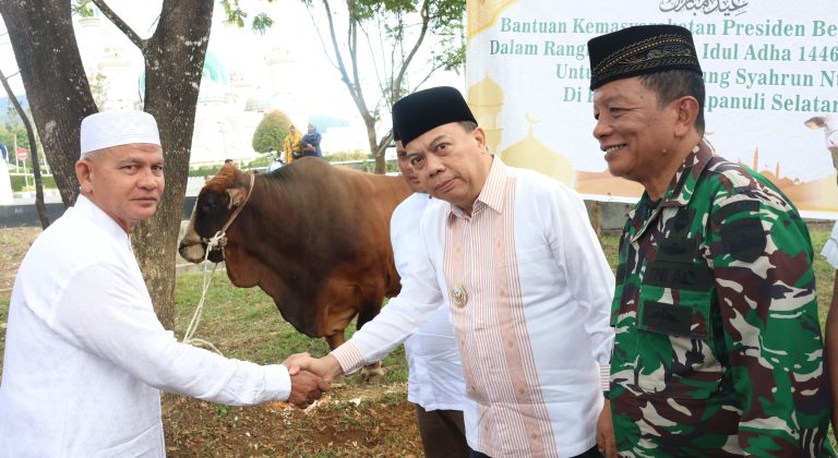 Presiden RI Prabowo Subianto Salurkan Seekor Sapi Kurban Untuk Masyarakat Tapsel.