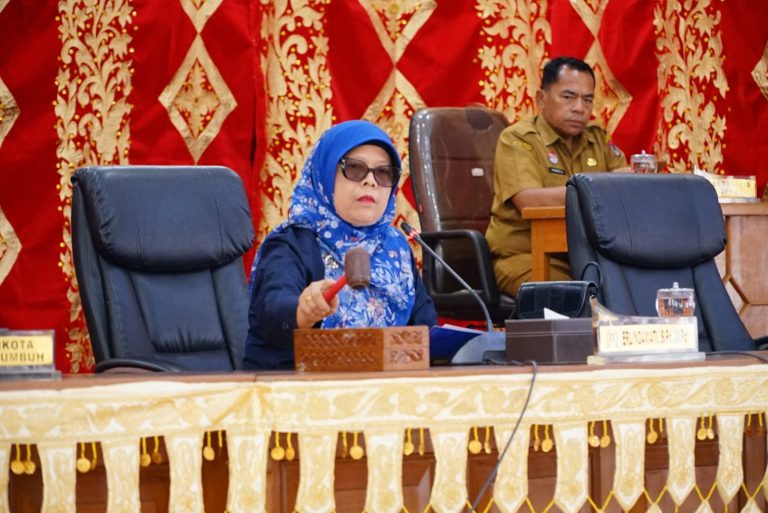 Wakil Ketua DPRD Erlindawati : Pemandangan Umum Bentuk Kontrol Politik