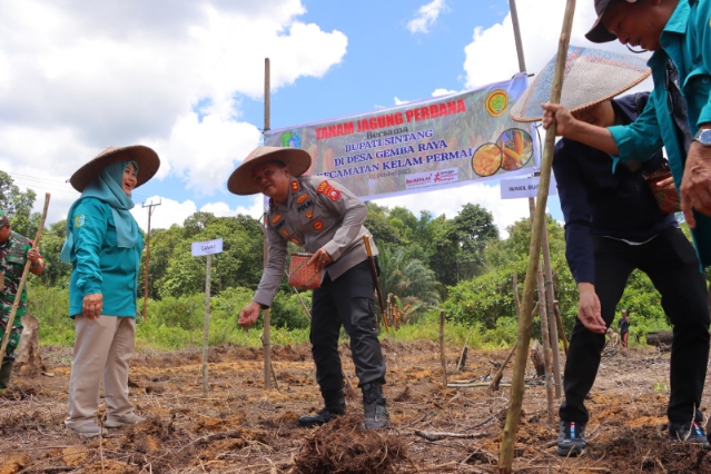 Kapolres Sintang Hadir Langsung Dalam Penanaman Perdana Di Desa Gemba Raya