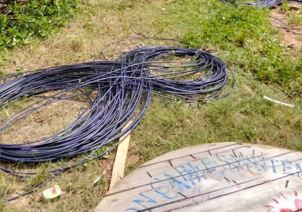 IMG 20251130 WA0011 1