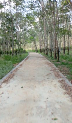 Screenshot 20260206 142257