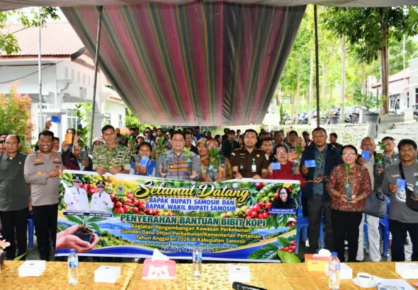 Pemkab Samosir Salurkan 1,25 Juta Bibit Kopi ke 245 Poktan