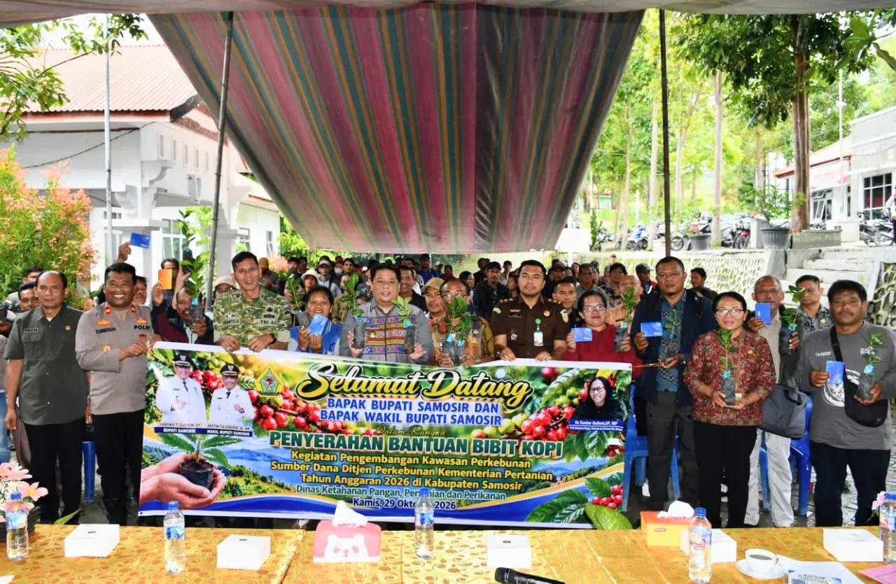 Pemkab Samosir Salurkan 1,25 Juta Bibit Kopi ke 245 Poktan