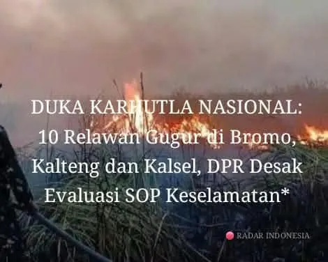 10 Relawan Gugur di Karhutla, DPR Desak Evaluasi SOP